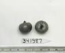 Click for 1 image(s) for this accession. FRUIT